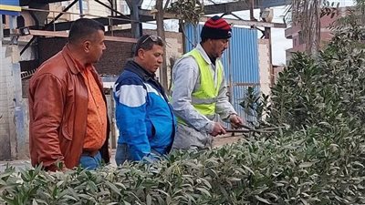 تكثيف حملات النظافة في الشرقية 