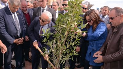 وزيرا التنمية المحلية والتعليم يشهدان اصطفاف 45 سيارة تقل 130 ألف شجرة