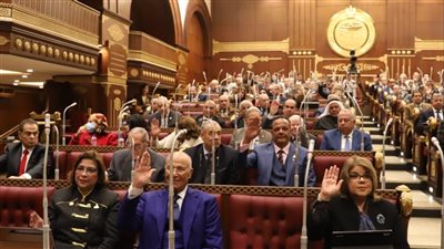 رفع الجلسة العامة للشيوخ بعد الموافقة على تقنين أوضاع المنشآت الصناعية 