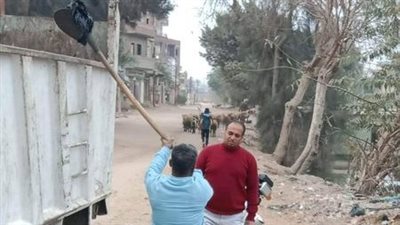 استمرار رفع تراكمات القمامة وإصلاح أعمدة الإنارة بفاقوس شرقية 