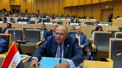 وزير الخارجية: يجب توفير الدعم للأشقاء في ليبيا لإجراء الانتخابات البرلمانية والرئاسية