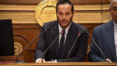 محمد حلاوة رئيس صناعة الشيوخ يستعرض تقرير اللجنة المشتركة حول قانون تقنين أوضاع المنشآت الصناعية غير المرخصة أمام الجلسة العامة