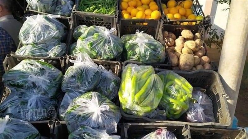 إقامة معارض ومنافذ