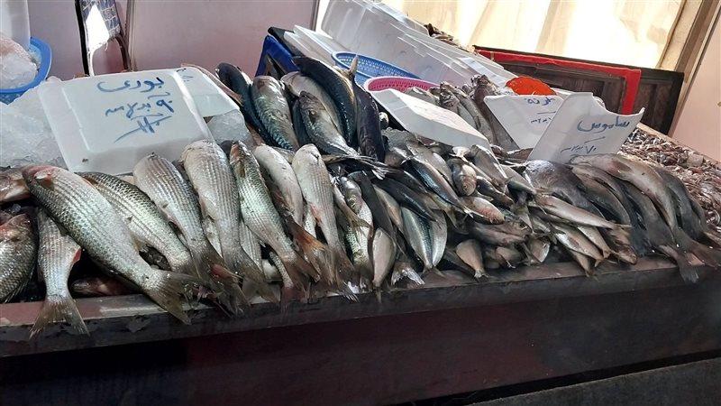 أسعار السمك بمعرض