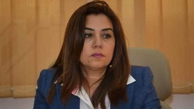 ممثلو الأمم المتحدة ومحافظة دمياط يناقشون إقامة الحى الحضاري بالشعراء 