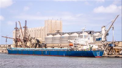 تداول 28 سفينة بضائع متنوعة في ميناء دمياط 