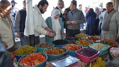 إحالة 41 محضرا تموينيا إلى النيابة العامة في الدقهلية 