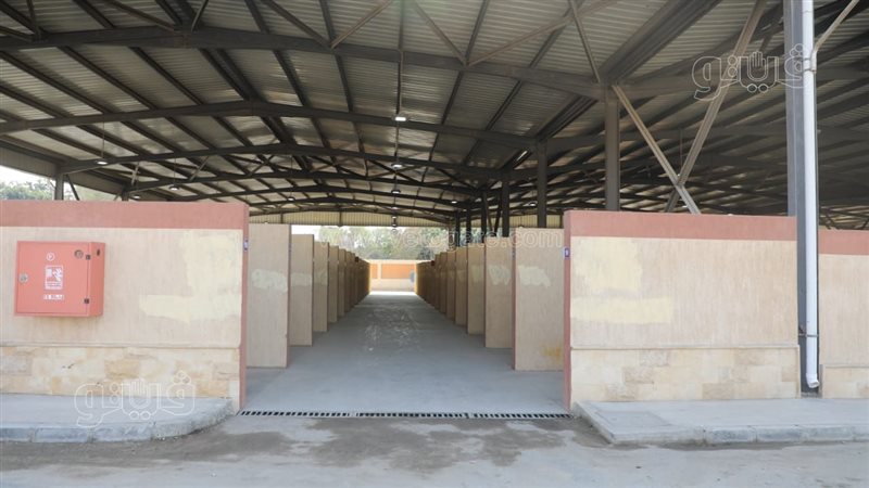  سوق التونسي الجديد،