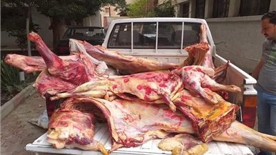 ضبط 345 كيلو لحوم وتحرير 45 محضرا بشمال الجيزة والهرم