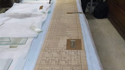 تعرف على بردية وزيري 1، أول وأكبر بردية بالخط الهيراطيقي عثر عليها بسقارة