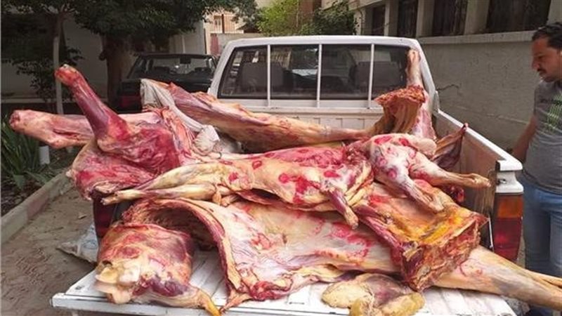 ضبط لحوم فاسدة بالجيزة،