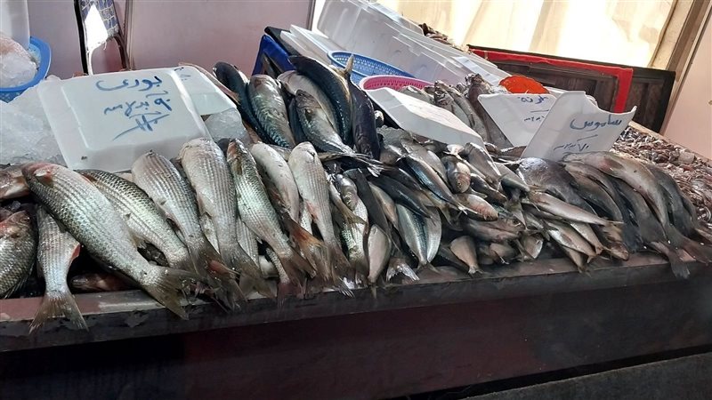 السمك، فيتو