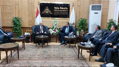 رئيس جامعة بنها: سلالة دجاج بنها الجديدة بهدف تحسين الصفات وجودة البيض