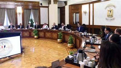  زيادة الاستثمارات السعودية في مصر بقطاع الصناعات الغذائية 