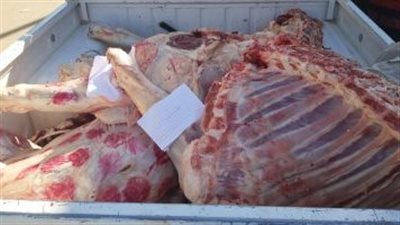 إعدام 250 كيلو لحوم فاسدة بالوادي الجديد