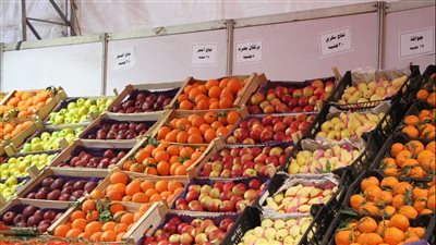 أسعار الخضروات والفاكهة بمعرض أهلا رمضان في مدينة نصر (صور)
