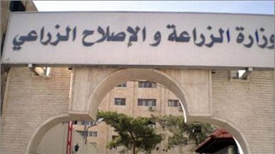قرارات “المعاشات” تنذر بأزمة في “الزراعة”.. عدم تجديد الثقة في “رئيس حماية الأراضي”.. وشكوك حول دور النواب