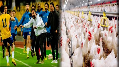 أخبار مصر: تفاصيل سرقة حمير وذبحها بالشرقية، إقالة ميدو بطريقة مهينة، بشرى عن أسعار الدواجن، حدث سري خطير وقع في روسيا 