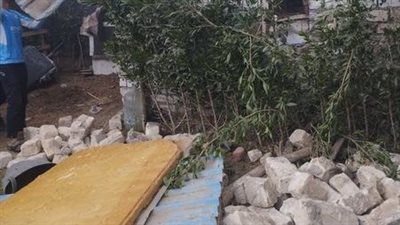 إزالة 12 بناء مخالف في بلبيس بالشرقية 