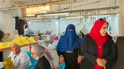 القوى العاملة بالمنوفية تنظم ندوة عن آثار سوء التغذية على المرأة