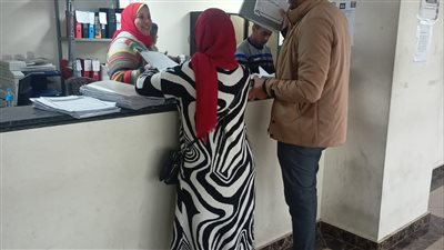 إصدار 1981 رخصة للإعلانات والترميم والهدم بالإسكندرية خلال يناير