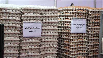 ننشر أسعار البيض والدواجن واللحوم في معرض أهلا رمضان بمدينة نصر (صور)