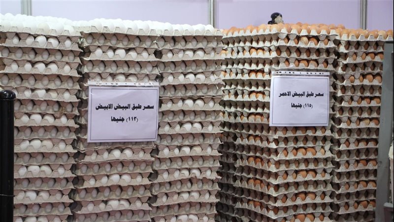 أسعار البيض في معرض