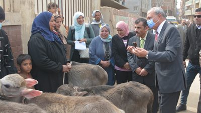 محافظ القليوبية يسلم مشروعات لـ 151 مواطنا من مستفيدي تكافل وكرامة 