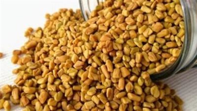  فوائد الحلبة الحصى، مهمة لمرضى السكري والأنيميا وتقوى المناعة