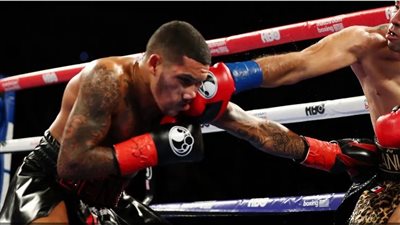 بعد تجاوزه أزمة البيض، عودة كونور بن إلى التصنيف العالمي لمجلس الملاكمة العالمي 