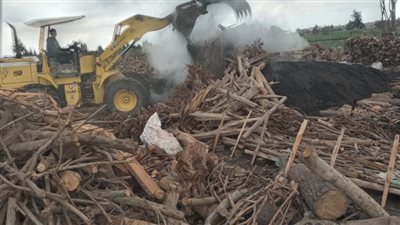 إزالة 70 مكمورة فحم مخالفة في محافظة الدقهلية (صور)