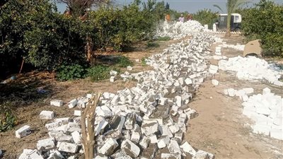 إزالة 5 حالات تعدٍّ بإجمالي مساحة 590 م2 بعدة مراكز بالبحيرة (صور)