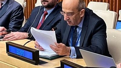 مندوب مصر بالأمم المتحدة يؤكد دعم القاهرة الكامل للحقوق المشروعة للشعب الفلسطيني