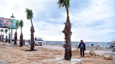 محافظ الإسكندرية يطلق مبادرة لتجميل كورنيش الإسكندرية بـ 