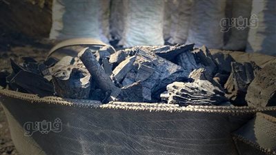 أقدم تقنيات الحرف اليدوية التي عرفتها البشرية.. تصنيع الفحم من الأخشاب في قرية الروضة بالمنيا (فيديو وصور) 