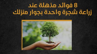 8 فوائد مذهلة عند زراعة شجرة واحدة بجوار منزلك (إنفوجراف)