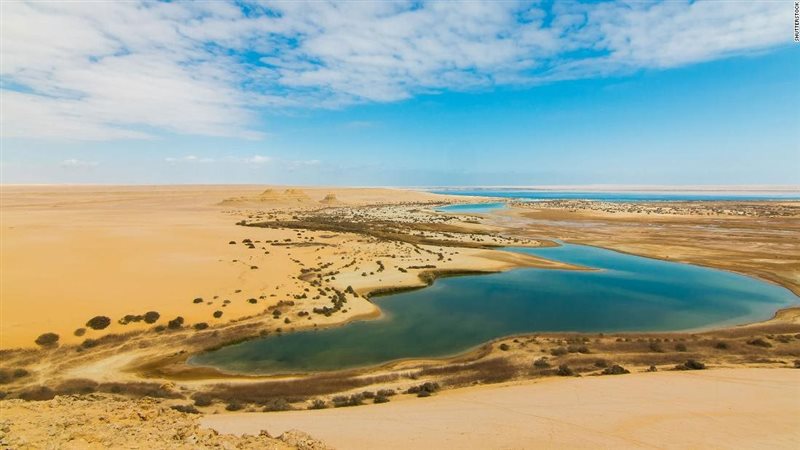 واحة الفيوم، فيتو