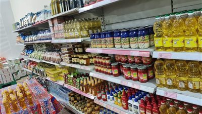 محافظ القليوبية ورئيس الغرفة التجارية يفتتحان معرض أهلا رمضان ببهتيم