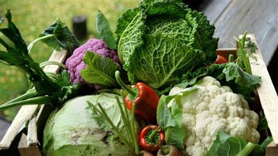  وزيرة بريطانية تقترح حلًا لأزمة نقص الخضروات: تناولوا اللفت