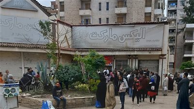 زحام في المجمعات الاستهلاكية بالإسكندرية للحصول على الأرز والفراخ المدعمة (صور) 