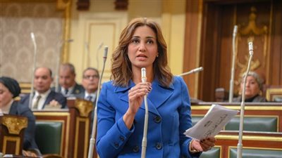 تعليم النواب: استراتيجية مكافحة البطالة خطوة على الطريق الصحيح لحل الأزمة 