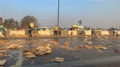  انقلاب سيارة محملة بالبيض بالطريق الزراعي ببنها