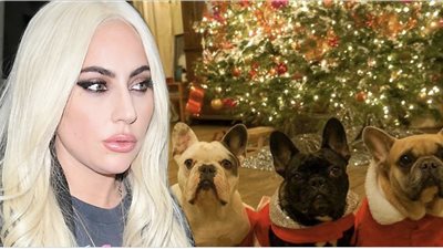 دعوى قضائية ضد ليدي جاجا تطالبها بمليون ونصف دولار، والسبب غريب