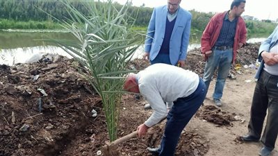 تفعيل مبادرة اتحضر للأخضر وزراعة 100 مليون شجرة بمراكز الدقهلية (صور)