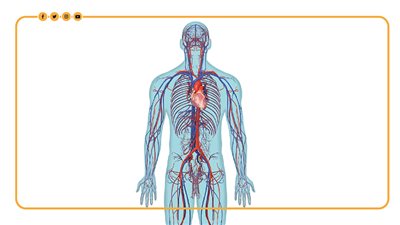 8 مشكلات خطيرة يسببها نقص الماغنيسيوم في الجسم (إنفوجراف)