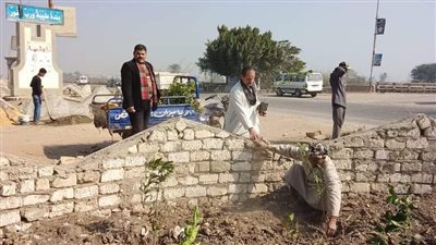 زراعة أشجار مثمرة بقريتي البيهو والعزيمة بمركز سمالوط بالمنيا