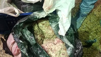 ضبط 372 كيلو لحوم فاسدة داخل مجزر بالعمرانية (صور)