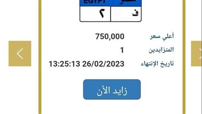 يصل سعرها نحو 750 ألف جنيه، متوسط أسعار للوحات المعدنية 