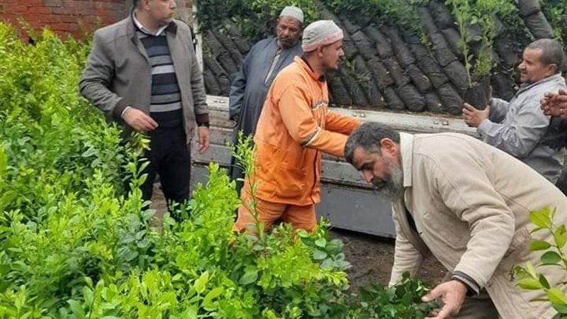 تفعيل مبادرة 100