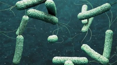 الصحة العالمية تطلق حملة تطعيم ضد الكوليرا في المناطق المتضررة من الزلازل في سوريا